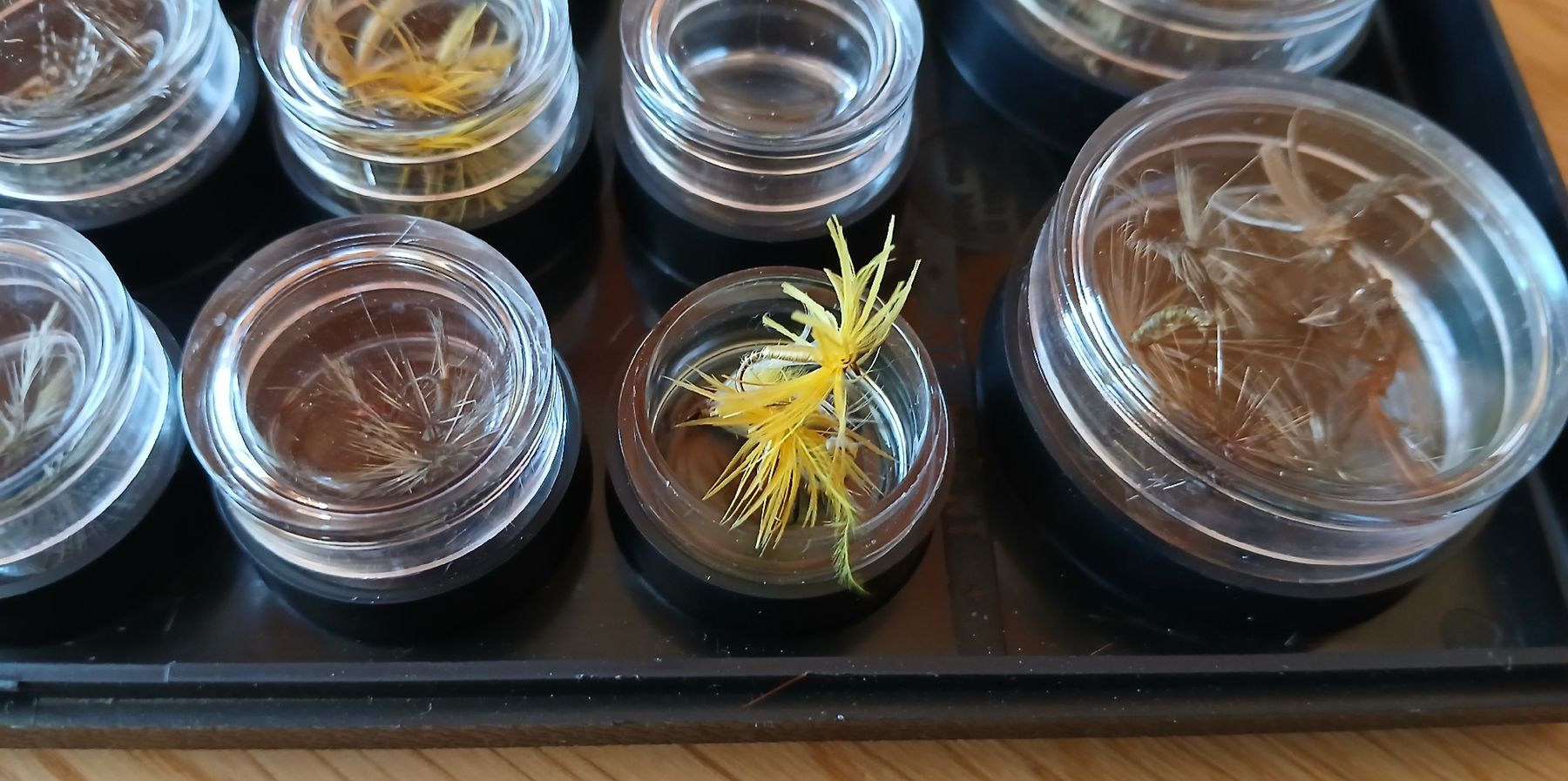 Esche: Boîte de mouches de pêche – Usato da Sciernes-d'Albeuve venduto da Dojo004 2