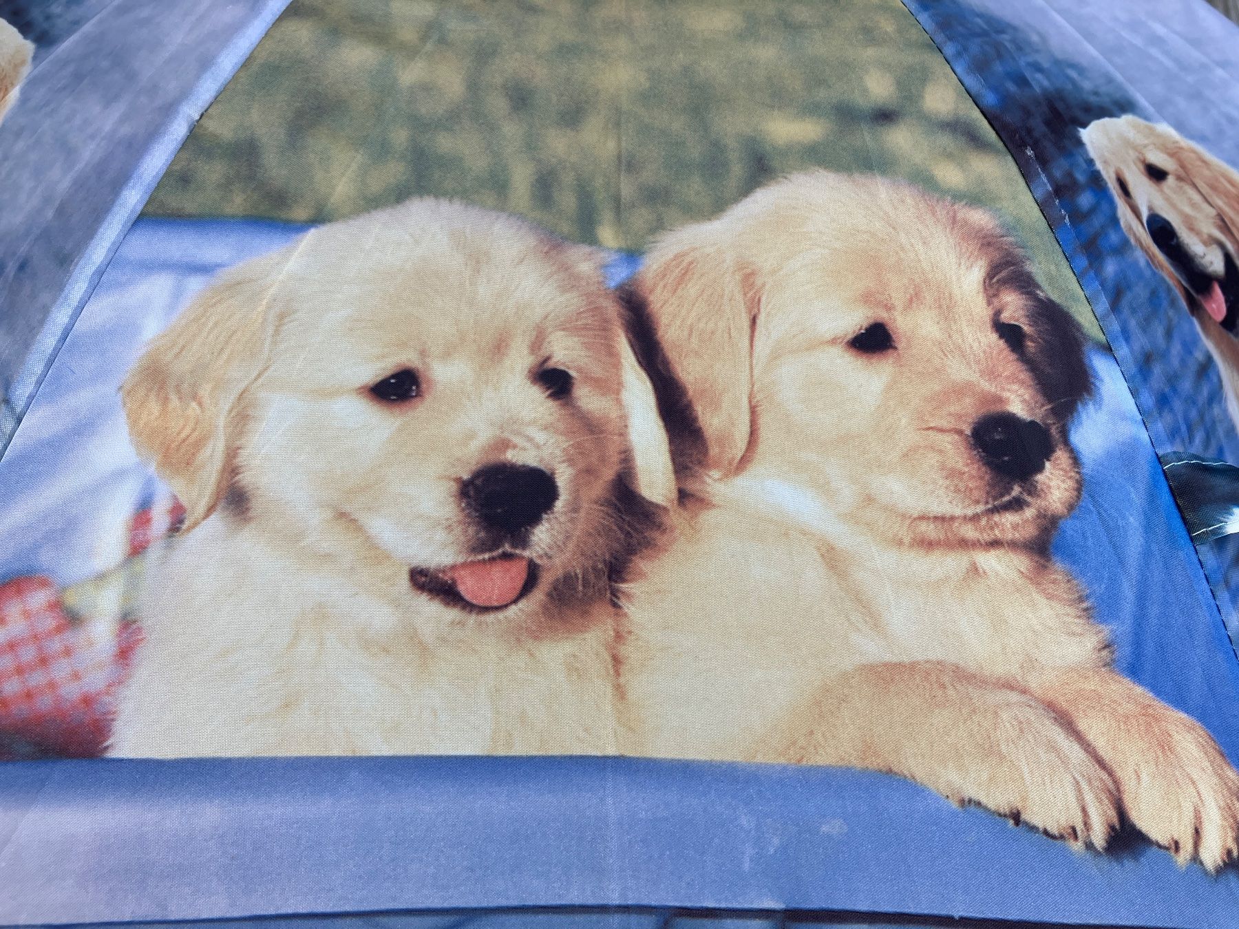 Sonstiges für Kind & Baby: Regenschirm Kinder Hund – Gebraucht aus Spiez von Rpesche 2