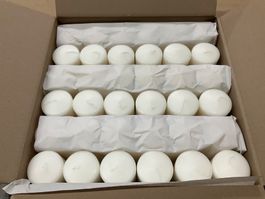 926 Posten Übertauchkerzen aus Liquidation