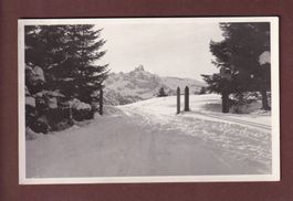Partie in Schwenden - GRIMMIALP - 1931