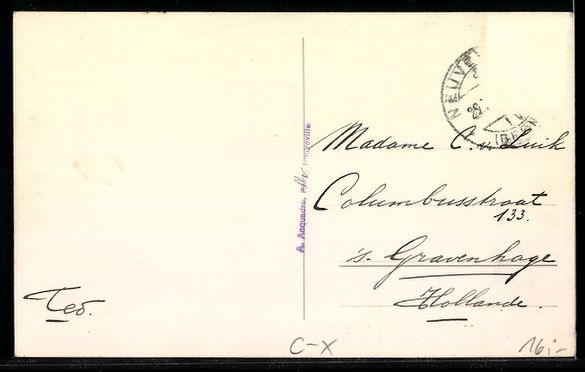 Cartoline postali: AK Neuveville, Villa Choisy mit Garten – Usato da Berlin venduto da bartko-reher 1