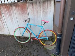 Trek Singlespeed / Fixie  auffälliger Hingucker
