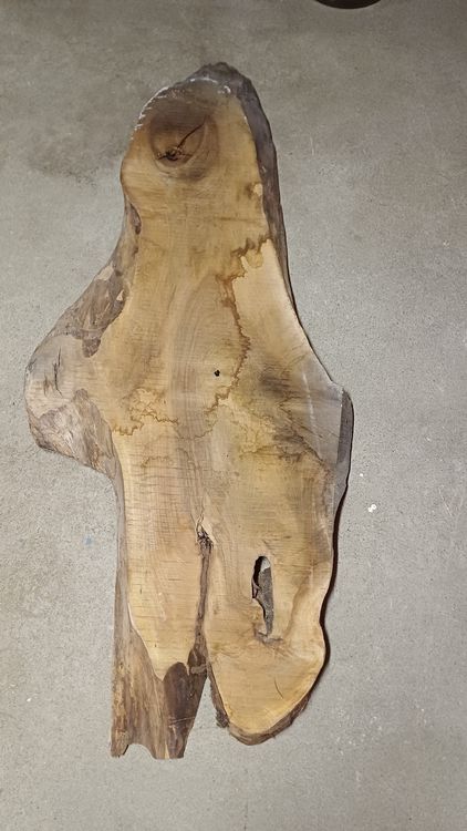 Articoli in legno: Nussbaumbrett – Nuovo (secondo la descrizione) da Embrach venduto da Olympia52