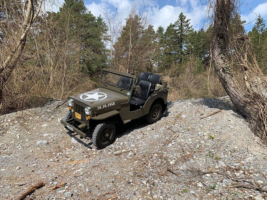 Autos: WILLYS CJ 3 B UNIVERSAL J – Gebraucht aus Widnau von mic_98mf 2