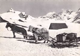 Melchsee-Frutt OW // 1963 Pferde Schlitten Schnee