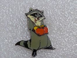 Ansteckpin 254: Waschbär
