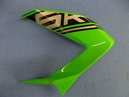 Kawasaki ZX-6R / 2016 Seitenschale links