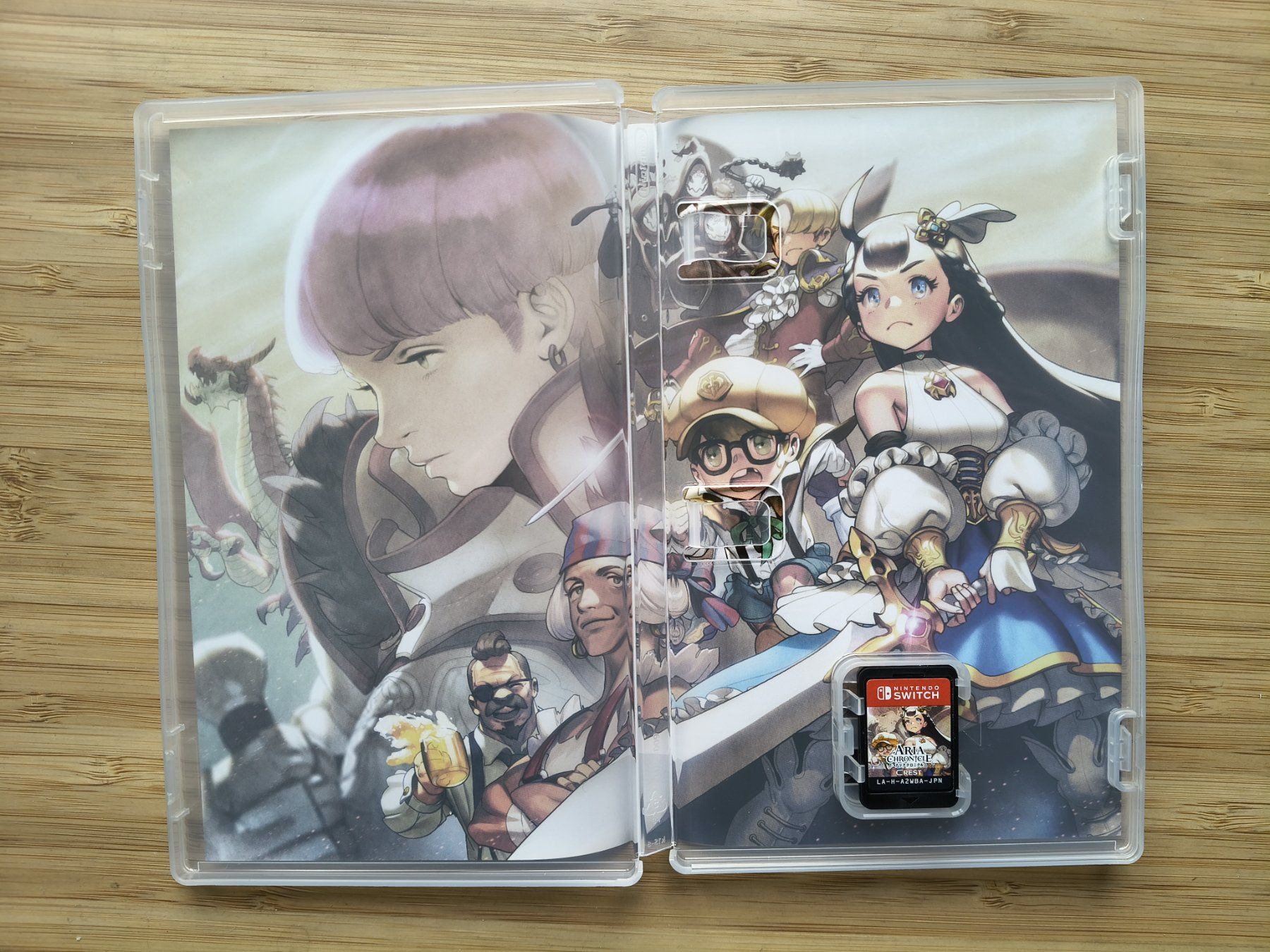 Giochi: Aria Chronicle (Switch) – Usato da Riedholz venduto da ste_96cd 2