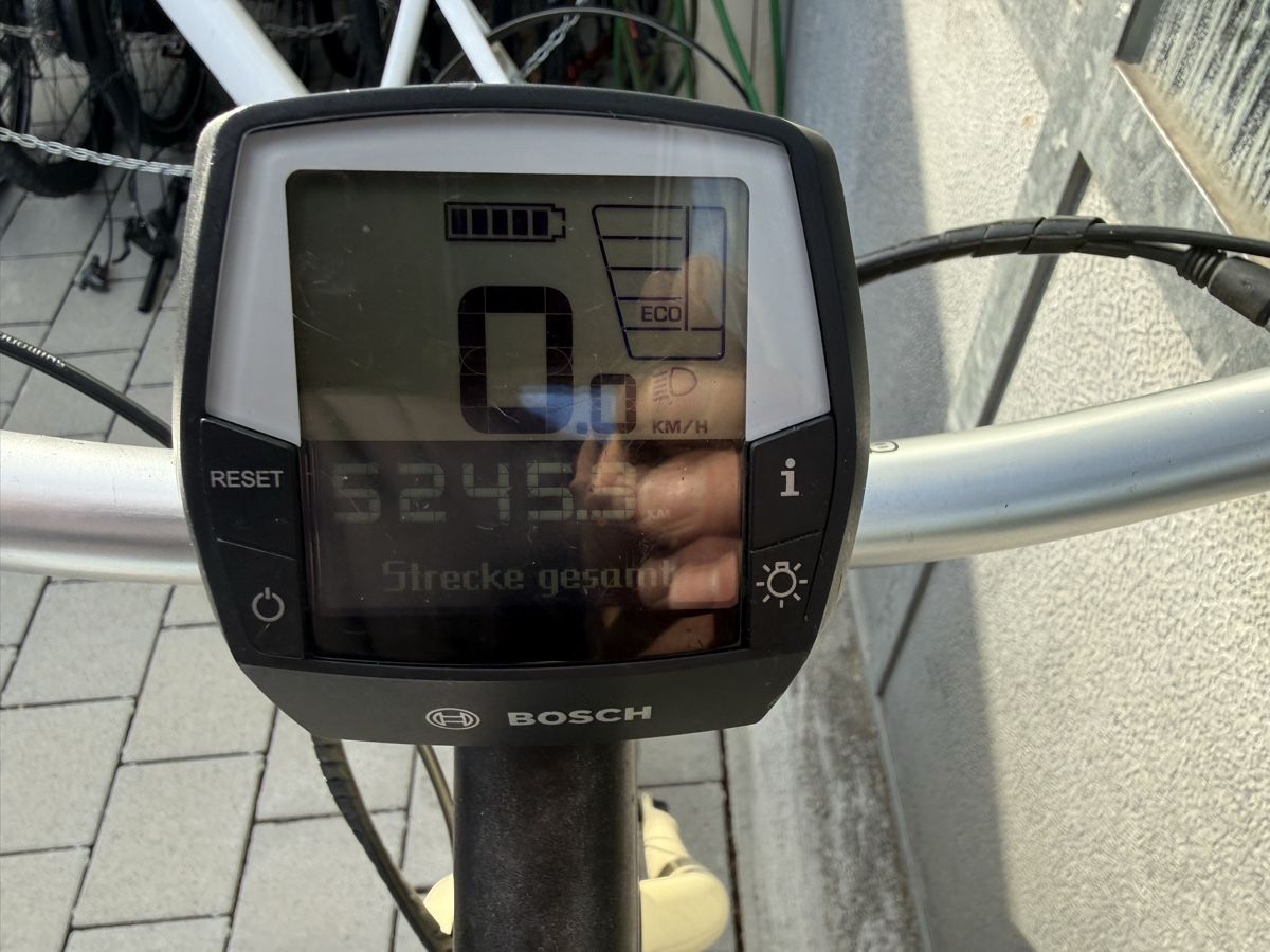 Bosch Biciclette: Damen E-Bike mit Bosch Motor  – Usato da Oberentfelden venduto da speed_71 4