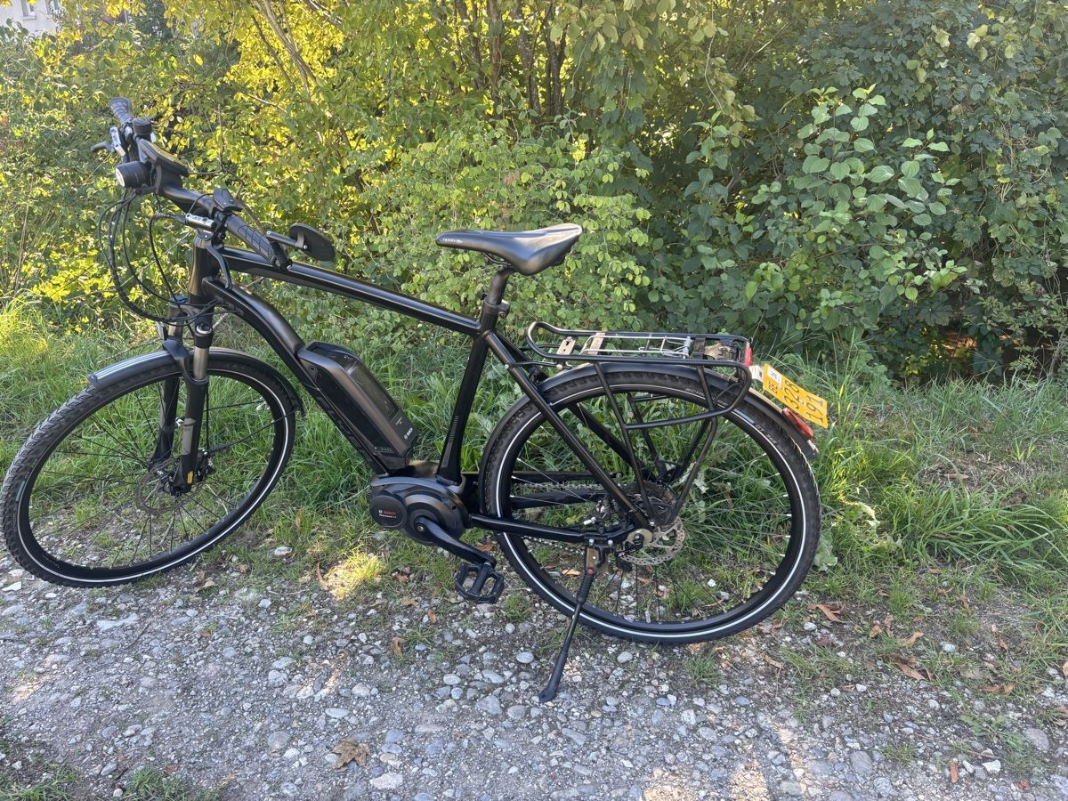 Flyer Biciclette: Flyer Bosch Motor 45 Km/h  – Usato da Kleindietwil venduto da her_d77z 4