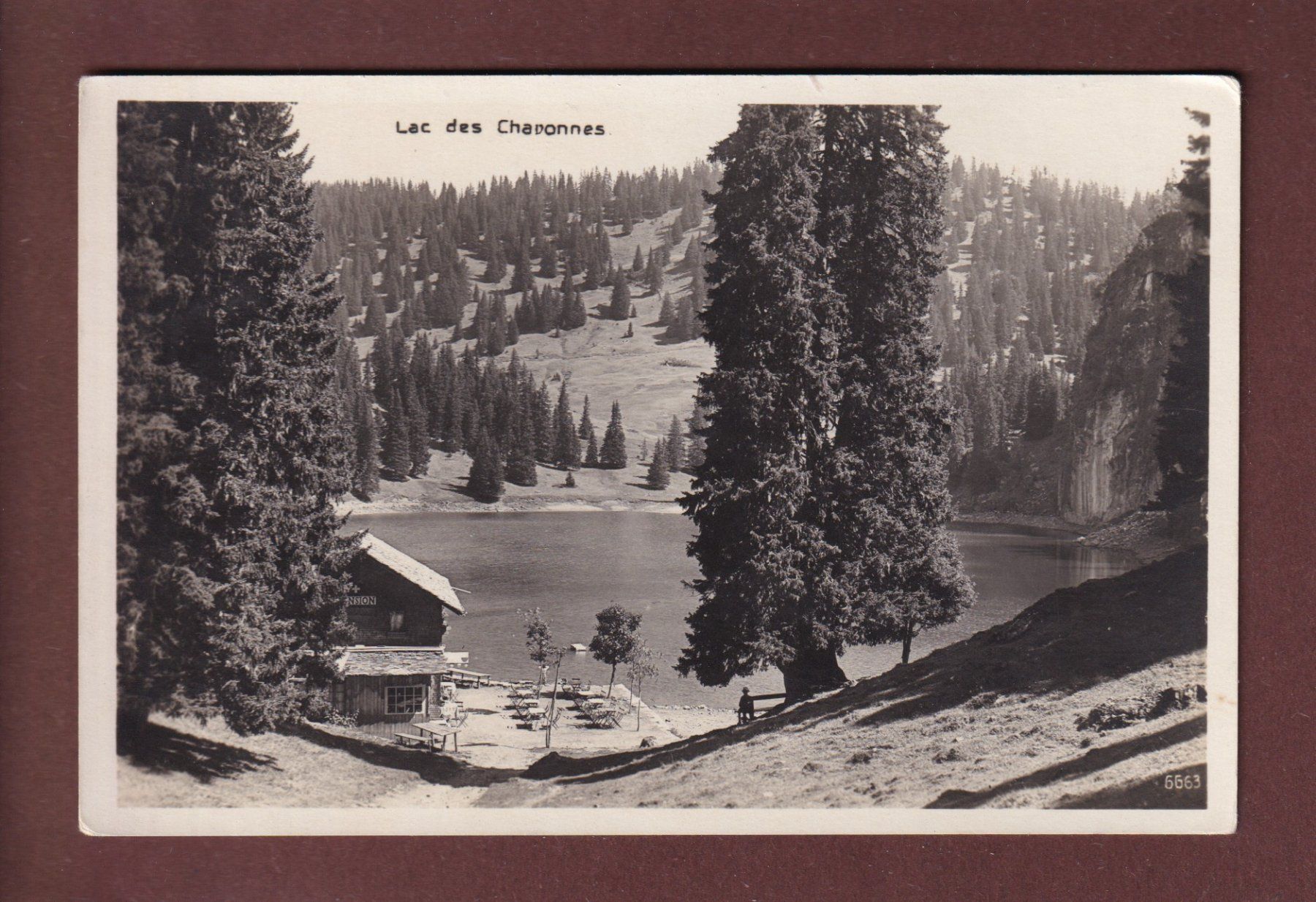 Cartoline postali: LAC DES CHAVONNES – Usato da Pully venduto da nicecards