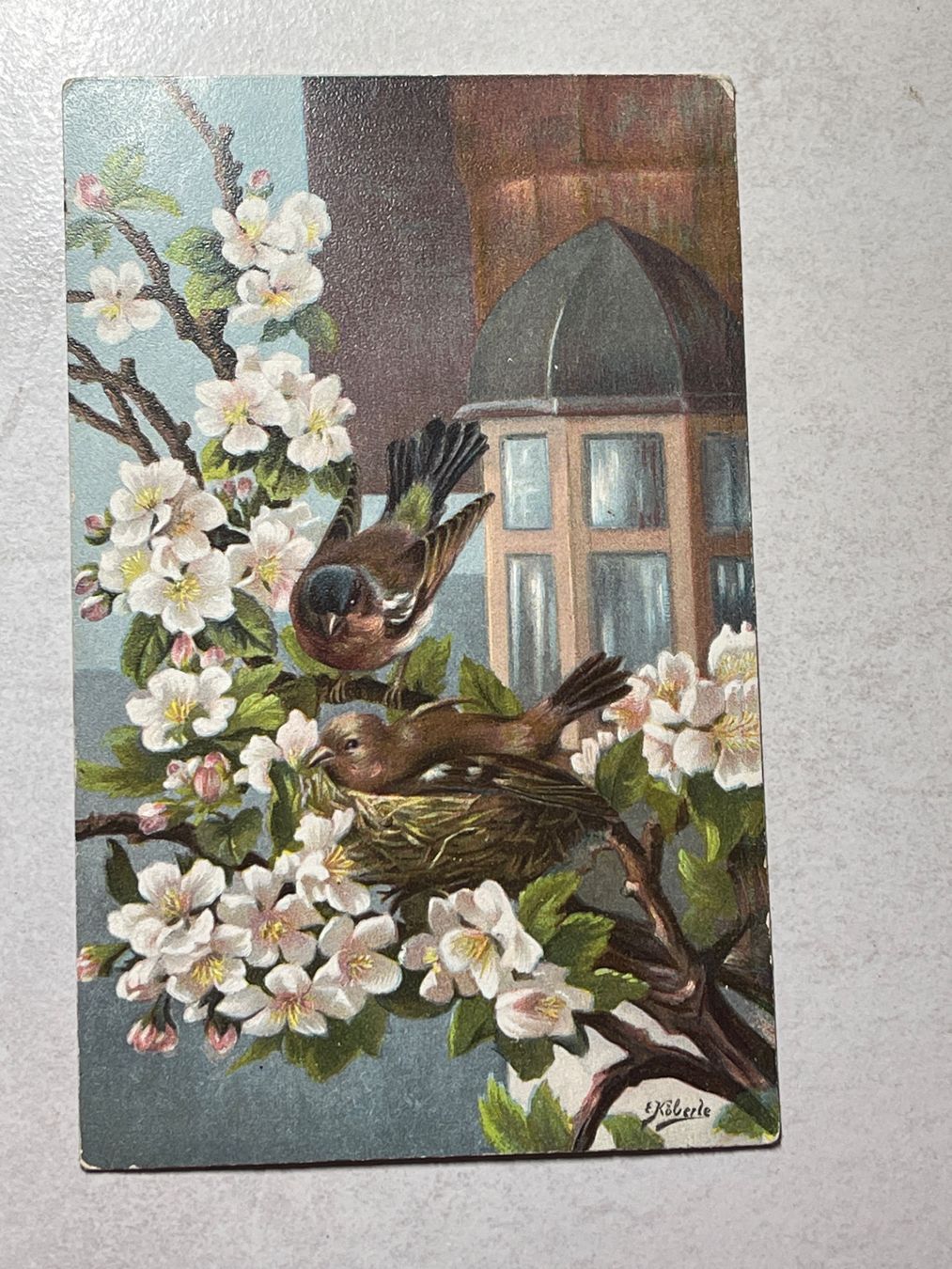 Cartoline postali: Alte Ansichtskarte mit Vögeln, – Usato da Strengelbach venduto da Aschatan5