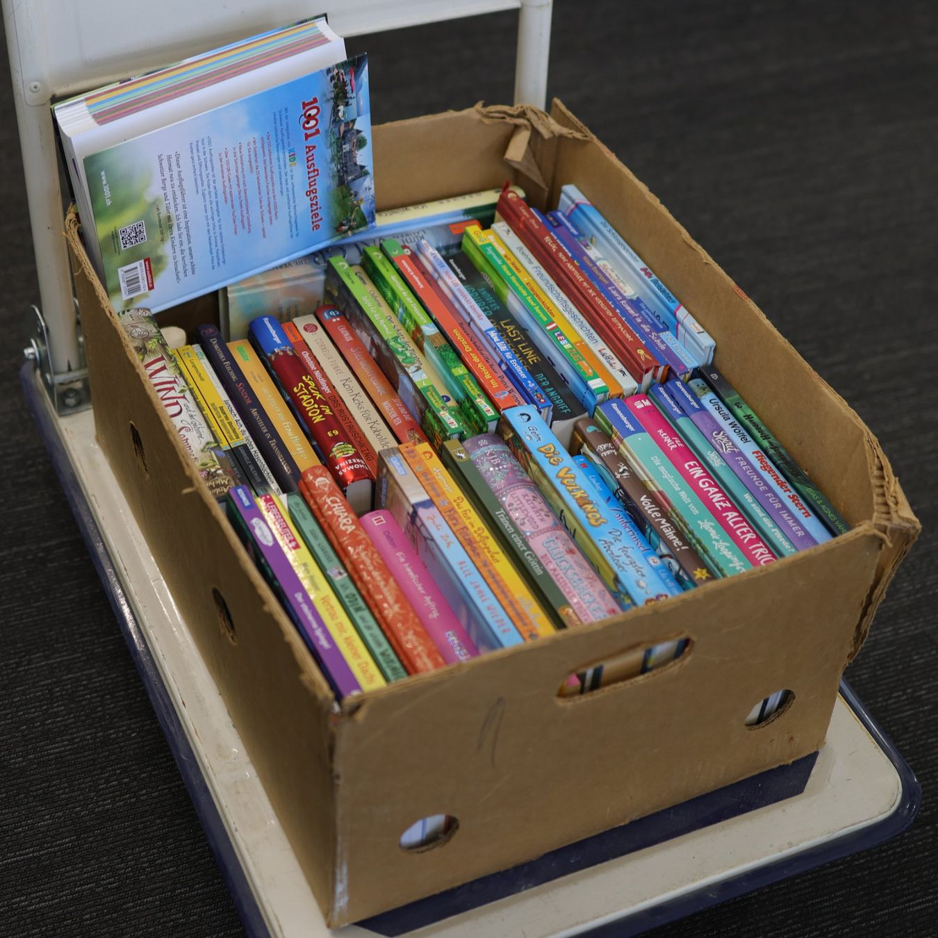 Livres: Kiste voll mit Jugendbüchern – D'occasion à Volketswil par brockipfannenstil 1