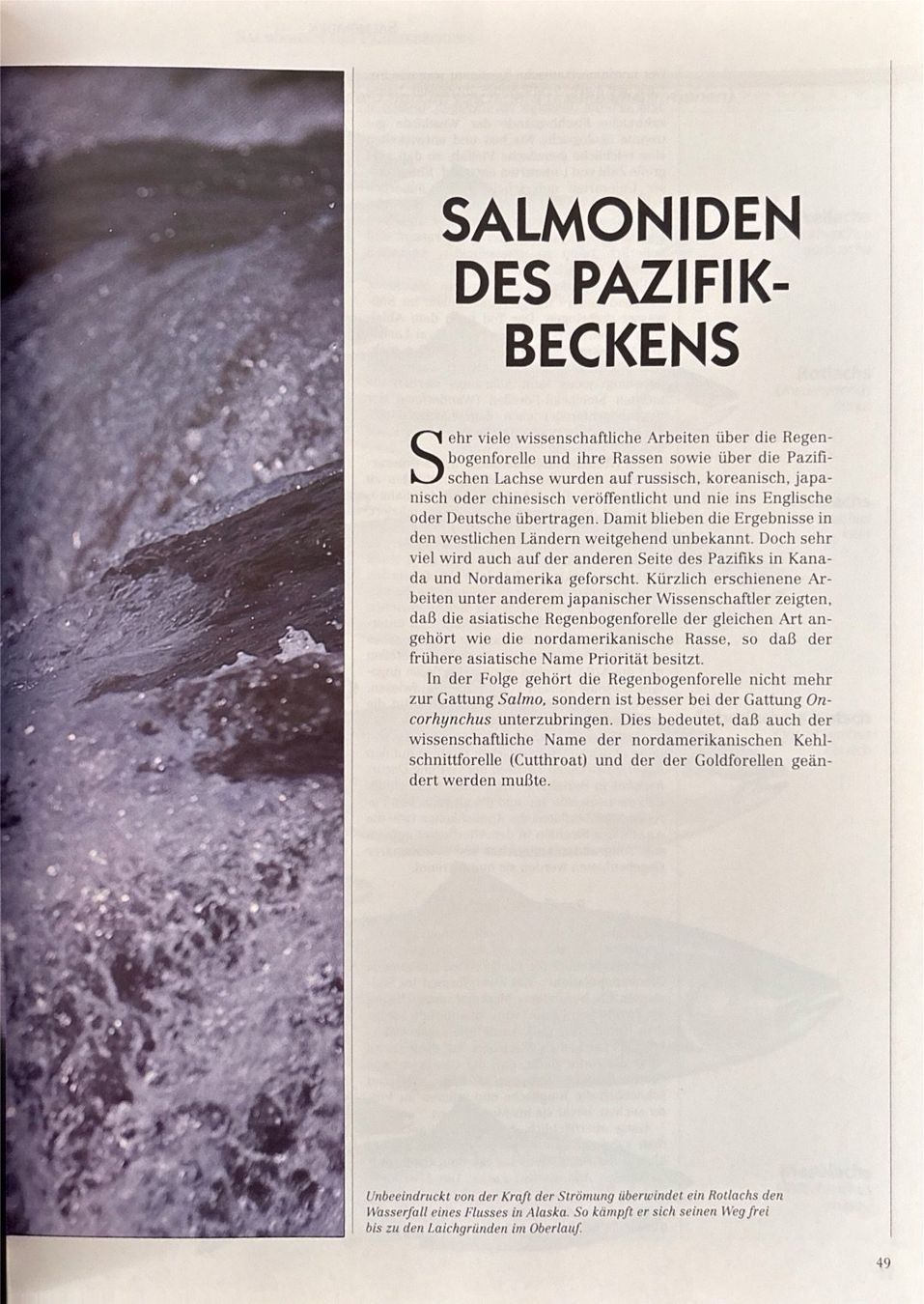 Libri: John Buckland, Salmoniden – Nuovo (secondo la descrizione) da Sarnen venduto da Livres 5