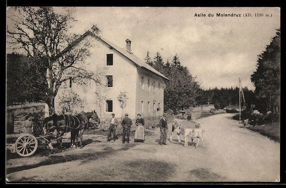Cartoline postali: AK Mollendruz, Asile du Molendruz – Usato da Berlin venduto da bartko-reher