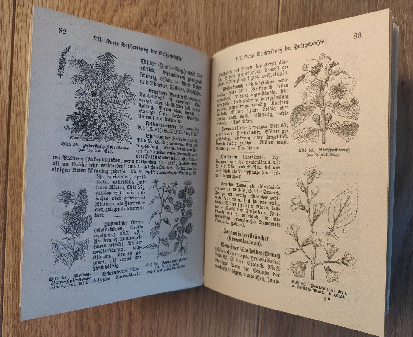 Libri: Unsere Bäume und Sträucher – Usato da Sigriswil venduto da Ricola1977 1