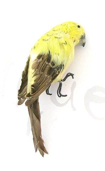 Statuette: Deko Wellensittich – Usato da Schlatt TG venduto da mavo85 1