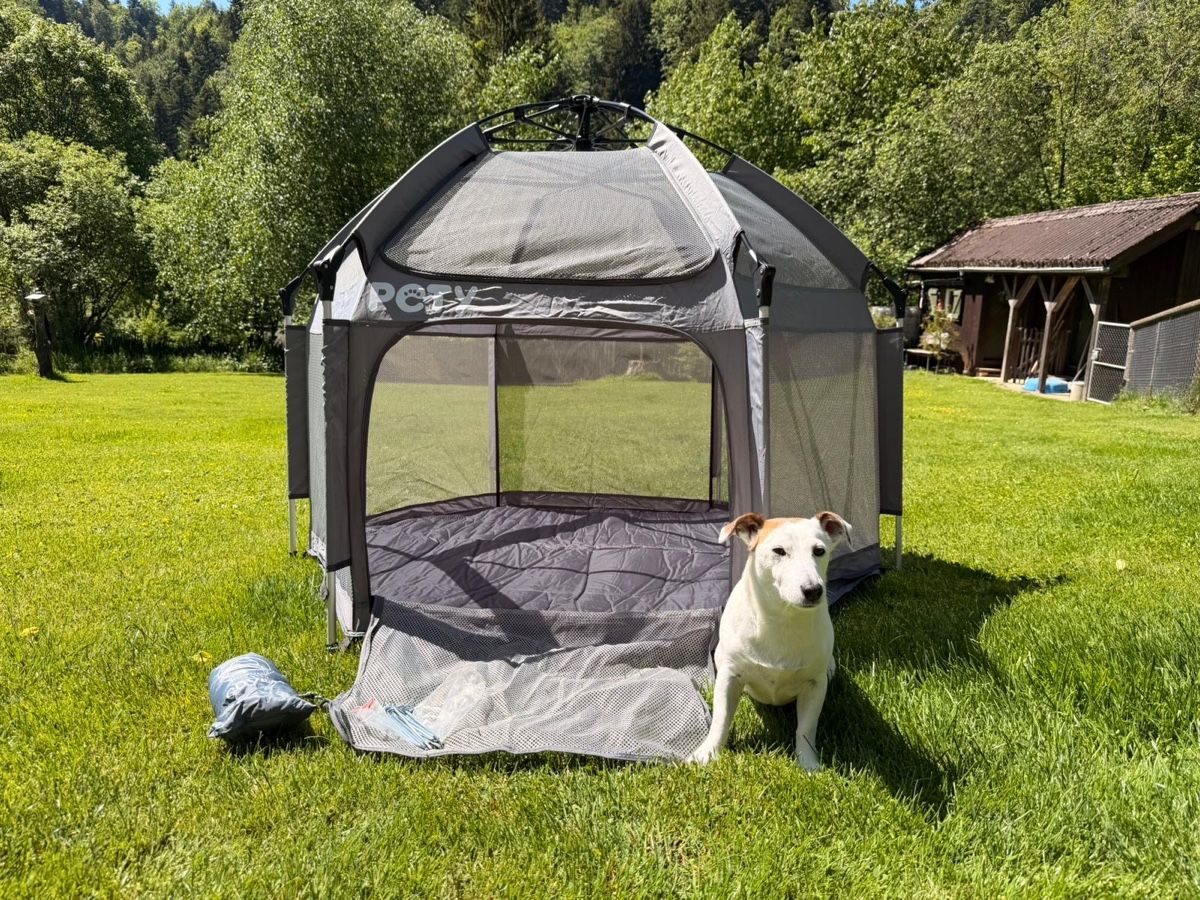 Cucce & Letti: Hundezelt Pety  – Usato da Steg im Tösstal venduto da andreas.brunner84