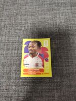 panini HAI 10