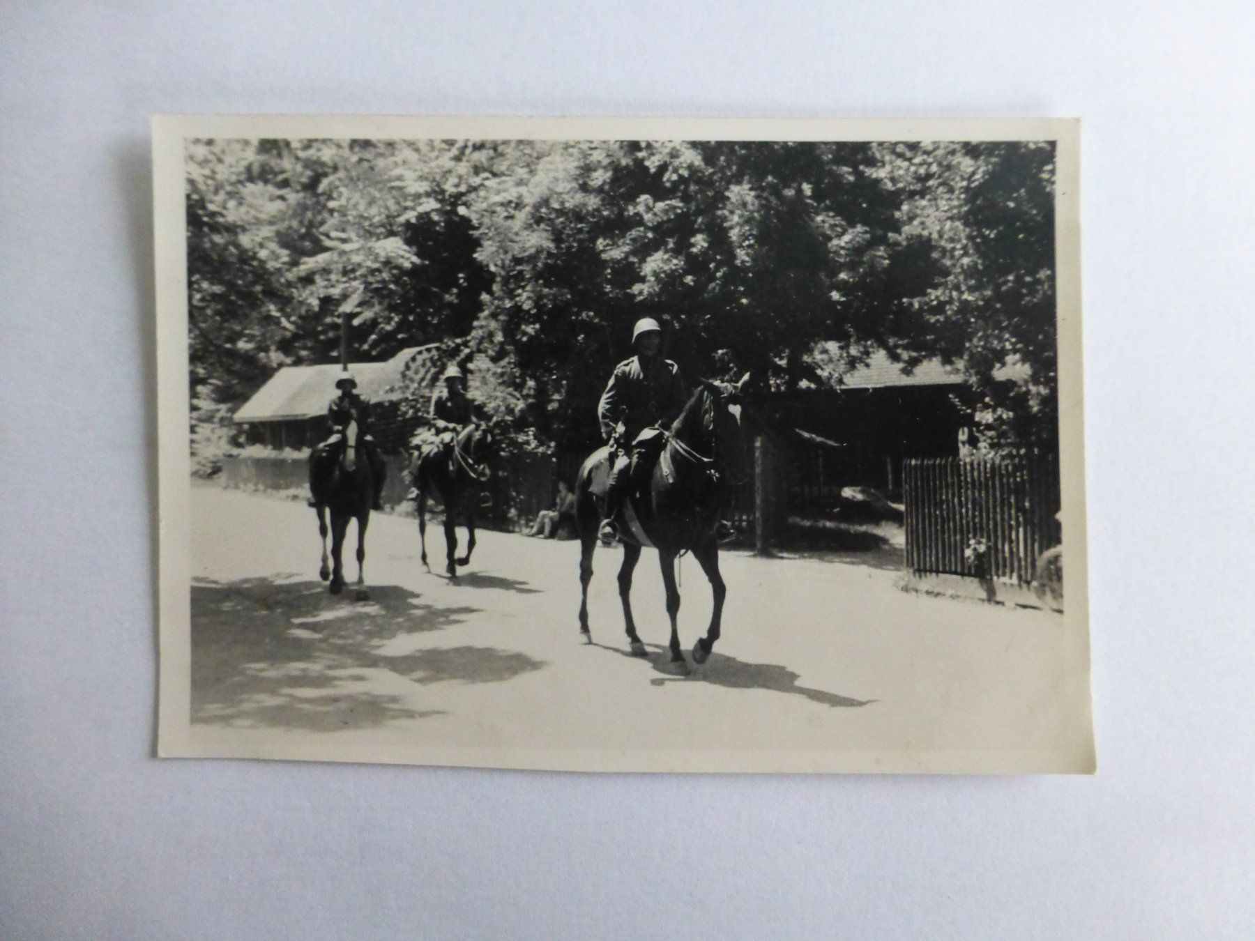 Poster & Bilder: Militär Foto – Gebraucht aus Bettlach von 1saurer