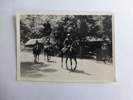Militär Foto