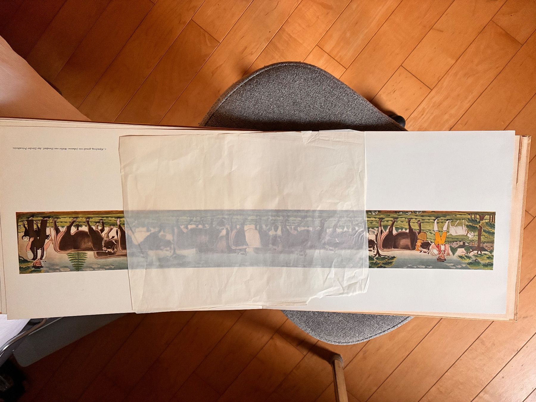 Libri: APPENZELLER BAUERNMALEREI. CA. 1942 – Usato da Genève venduto da elisata 3