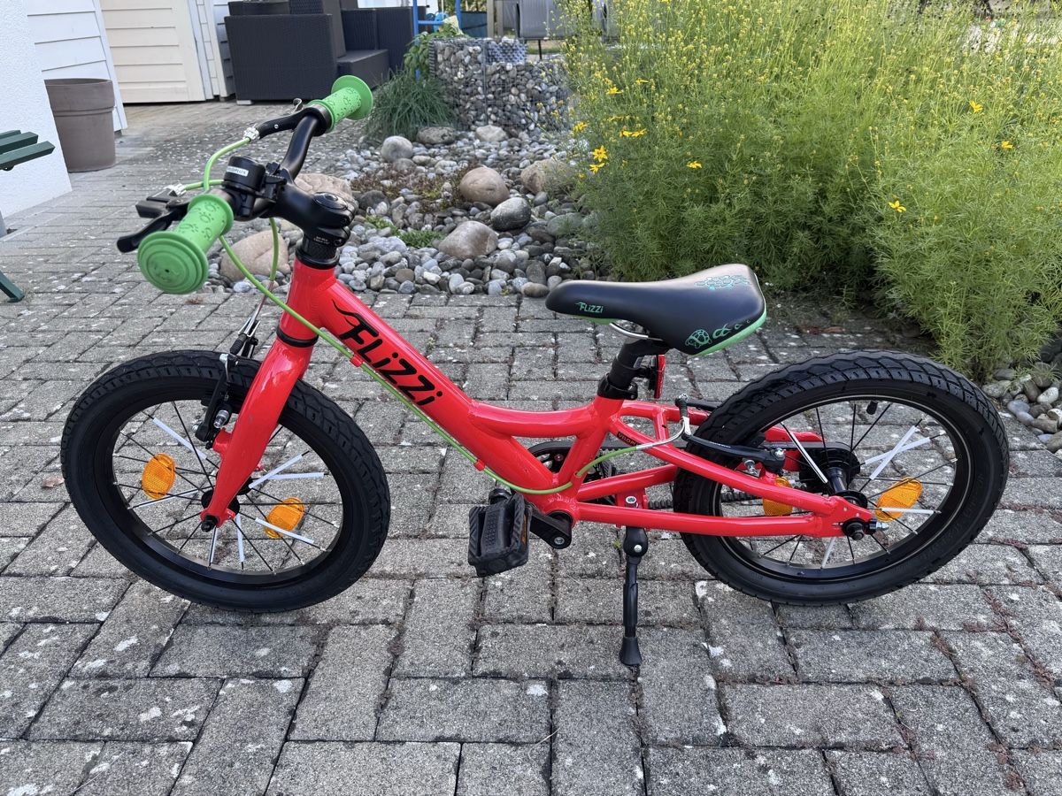 Flizzi Velos: FLiZZi 16 Riemen – Gebraucht aus Lyss von ka_stein 1