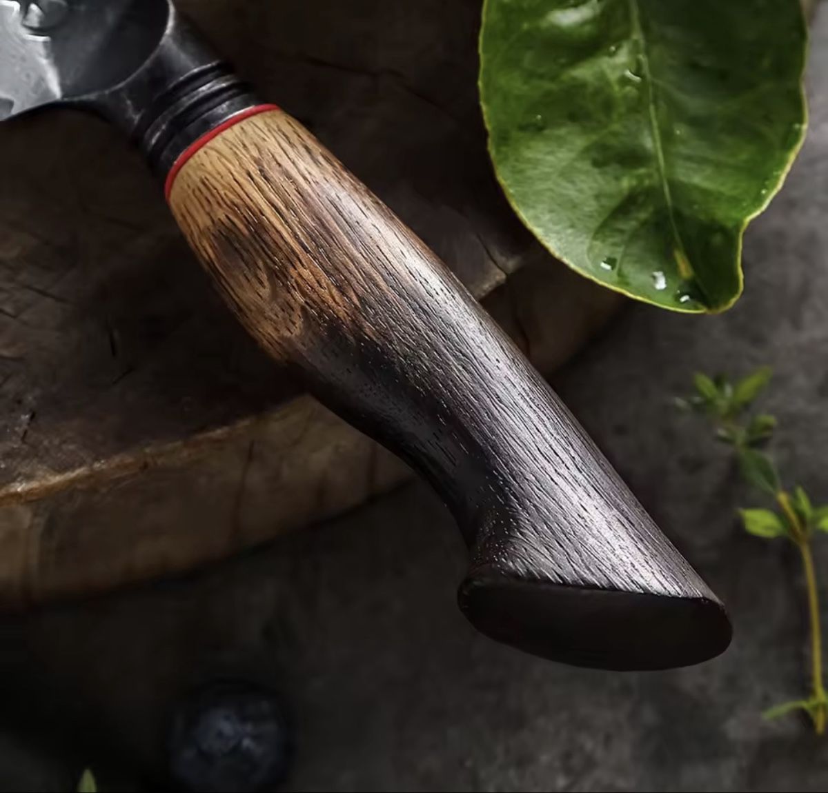 Coltelli da cucina: Japanisches Messer – Nuovo e nell'imballaggio originale da Arbon venduto da clothes187 1