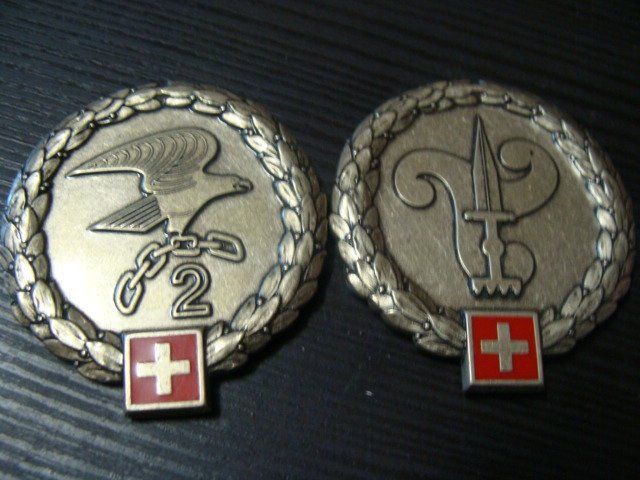 Insigne automobile auto car club Suisse TCS Touring Club de Suisse B - France