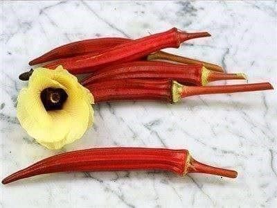 Piante & sementi: OKRA GOMBO JING ORANGE RARE  10g – Nuovo (secondo la descrizione) da Bremblens venduto da FIBONACCI369