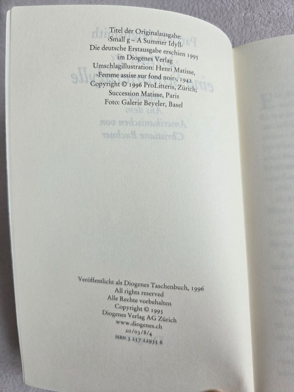 Libri: Patricia Highsmith - >Small g< eine Sommeridylle – Usato da Bergdietikon venduto da Tanne_10 3