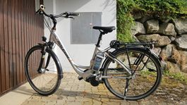 Raleigh E-Bike gepflegt