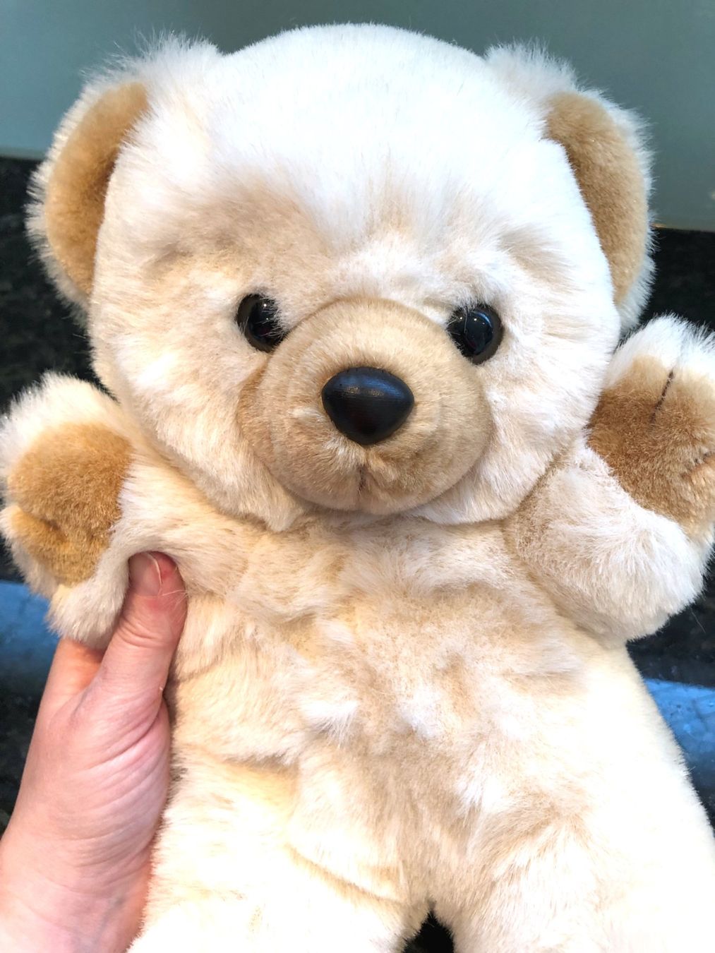 Jouets: Teddybär – D'occasion à Rüti ZH par Jasna89 1
