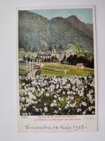 Bahn Montreux-Oberland : Narzissenblüte 1908