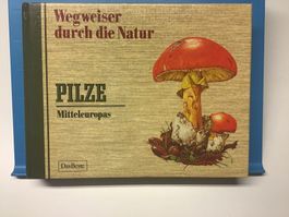 Pilze Mitteleuropas Camping Wandern Natur Mushrooms