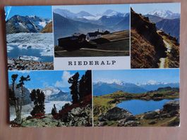 Riederalp - Wallis - 1978 - Grand format