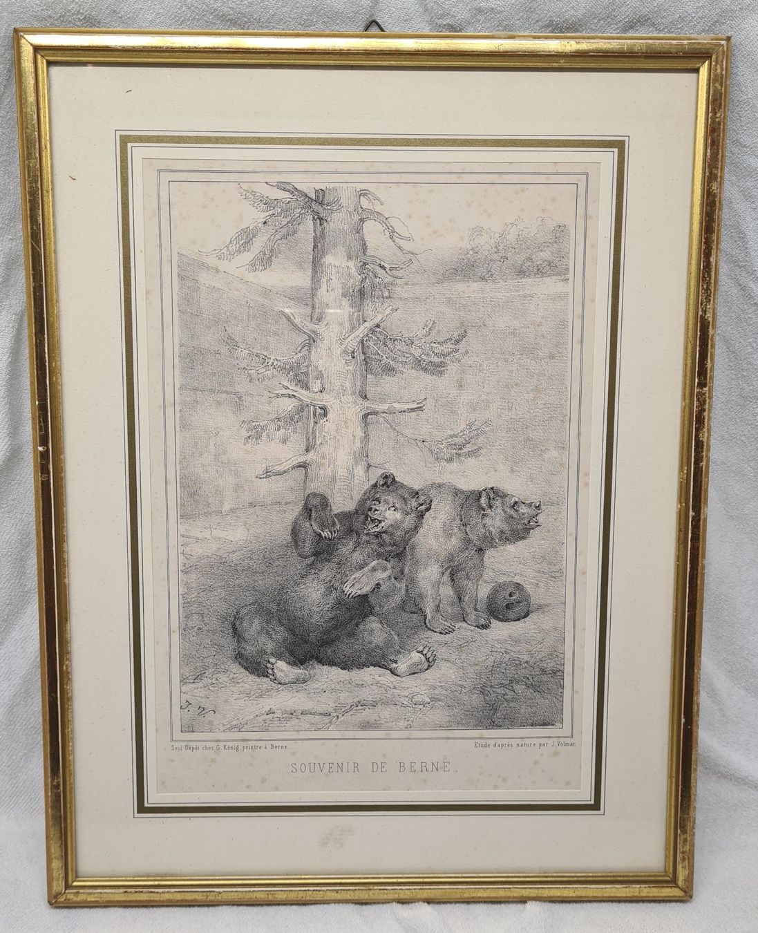 Grafica & Litografie: Lithographie Joseph Simon Volmar Bern – Usato da Zürich venduto da Agios