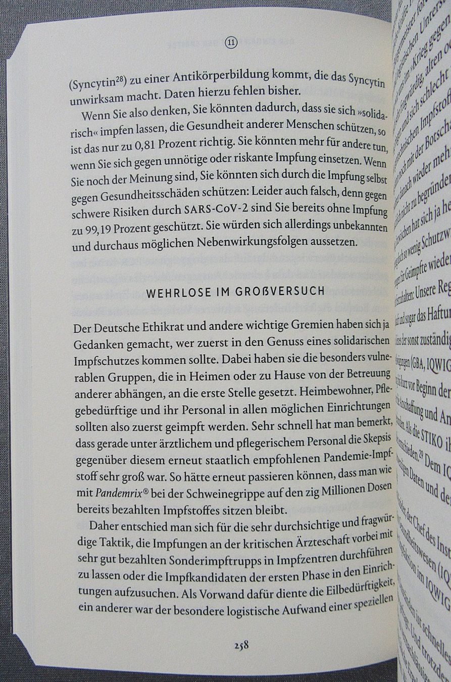 Libri: Falsche Pandemien - Argumente gegen die Herrschaft der Angst – Usato da Auenstein venduto da Padabimbim 6