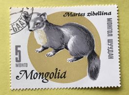 Briefmarken aus  Mongolei gestempelt  Siehe Original Fotos. 