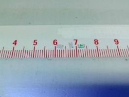 LED SMD 1206, kaltweiss, 50Stk