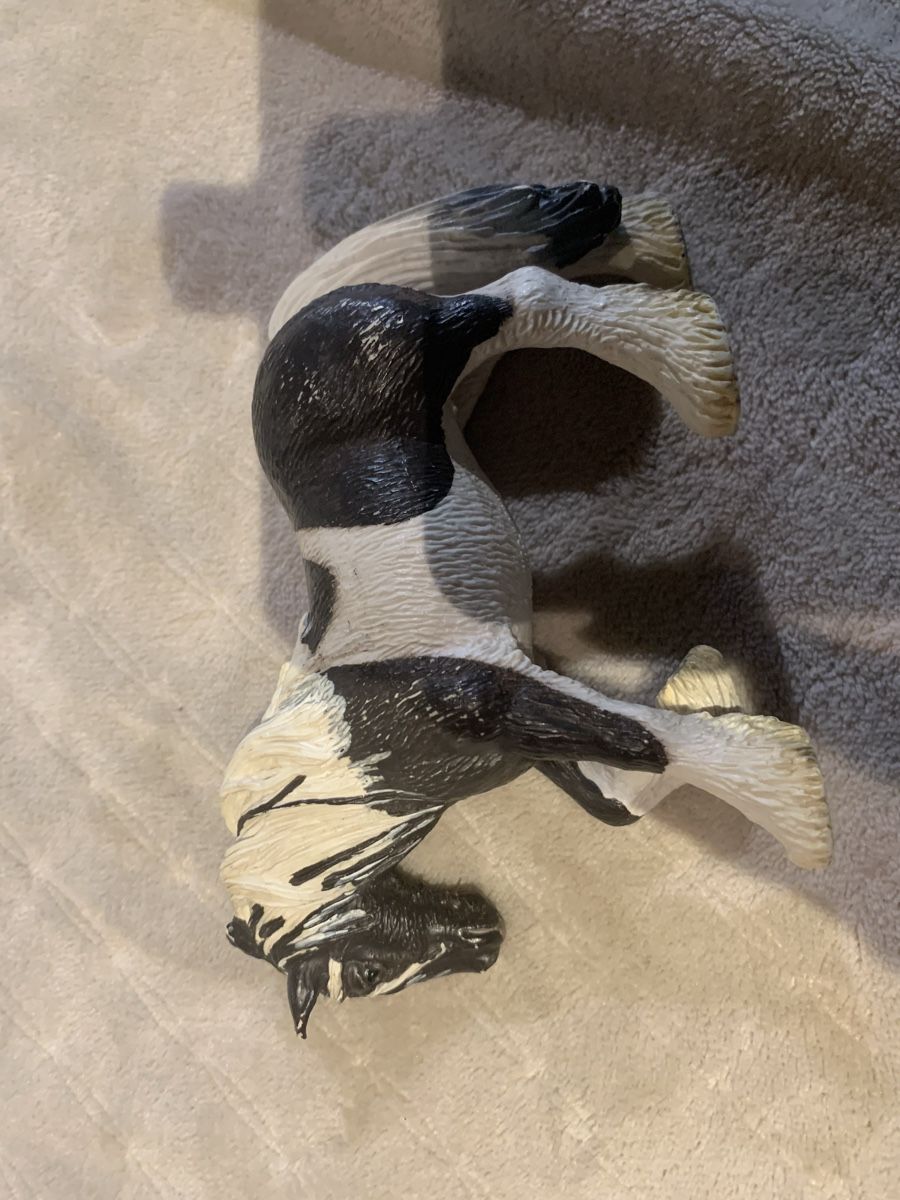 Schleich Jouets: 3 Pferde 1 Fohlen – D'occasion à Richterswil par irenemiz 2