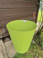 Grand pot de fleurs vert