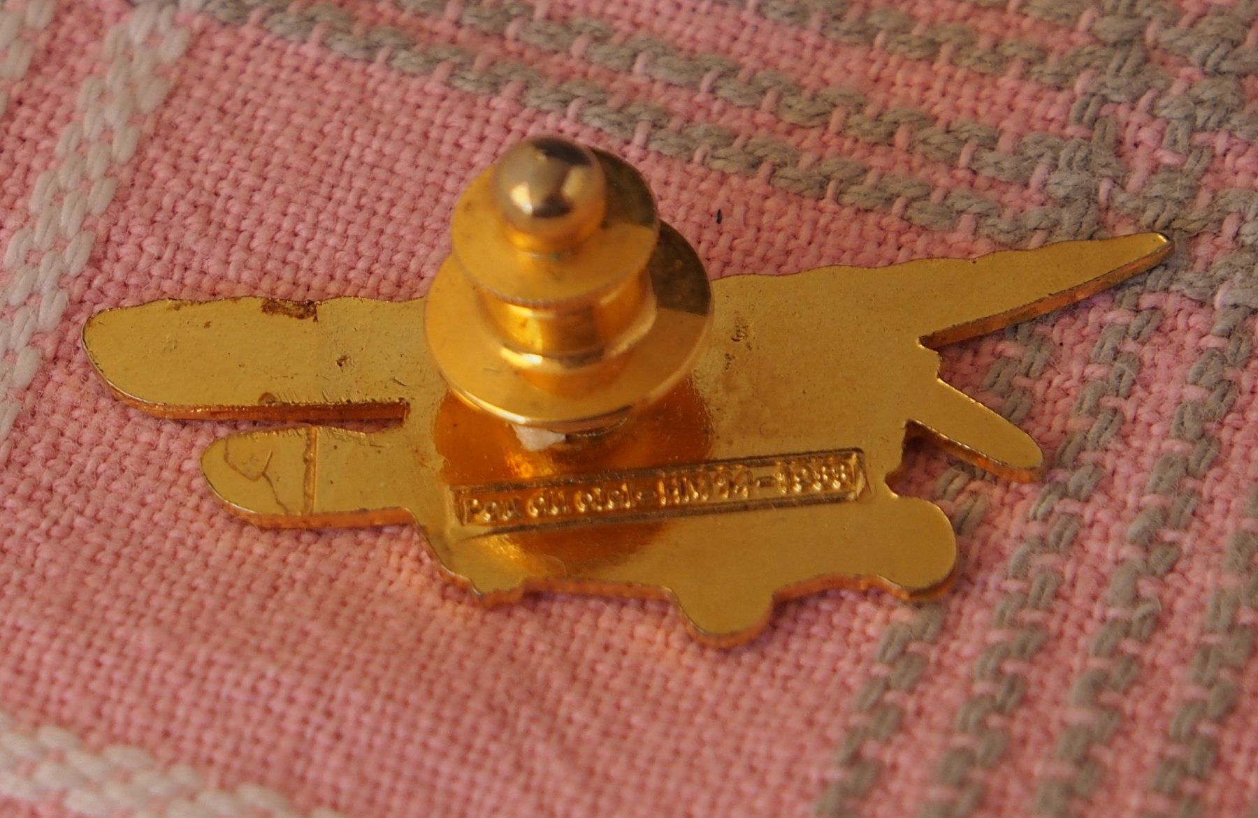 Placchette & Badge: pins pou du ciel avion rare – Usato da Ovronnaz venduto da Etagne68 2