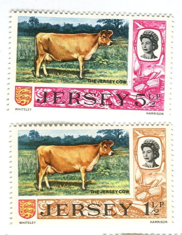 Tutti i francobolli: Briefmarken "Hausrinder". Jersey – Nuovo e nell'imballaggio originale da Basel venduto da Butsch5