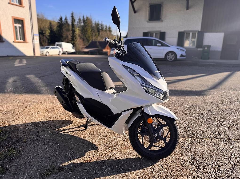 Strada: Honda WW125A Roller  nur 1700 km – Usato da Oberhofen AG venduto da valo-ha