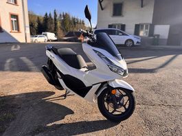 Honda WW125A Roller  nur 1700 km