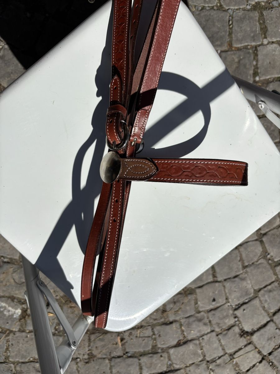 Zaumzeug & Halfter: Zaum – Gebraucht aus St. Gallen von may_8fbd 4