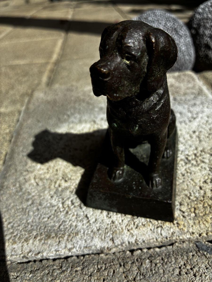 Sculture & Statue: Bronze Berhardiner von 1934 – Usato da Lengnau BE venduto da Warmbrodt 3