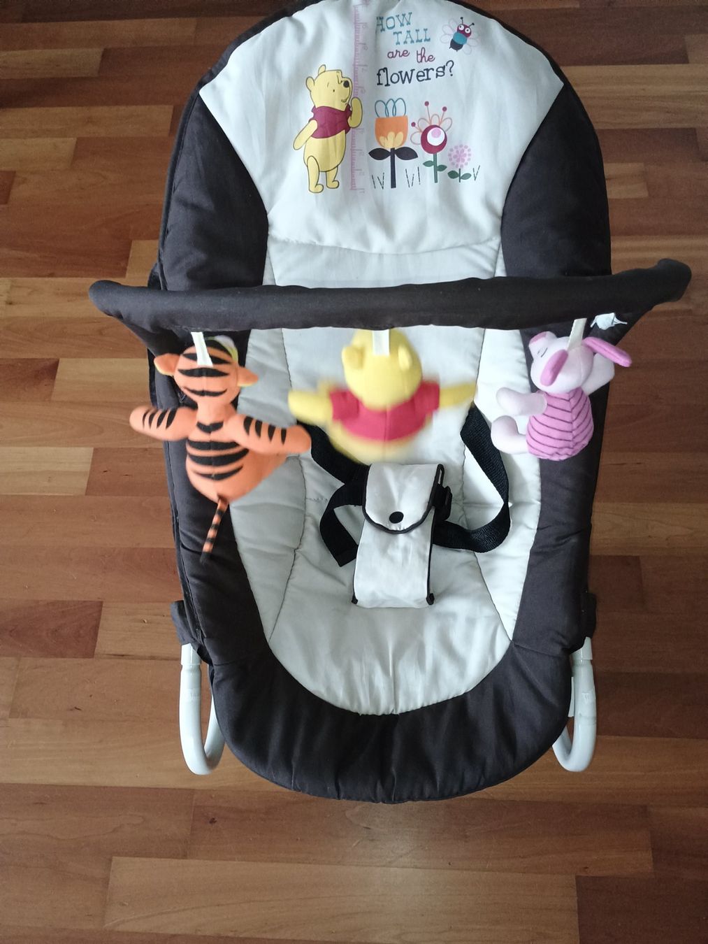 Sdraiette & Sdraiette a dondolo: Baby Wippe – Usato da Unterägeri venduto da Muellti