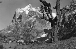Wetterhorn Grindelwald (BE) Blick auf das Massiv